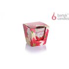 Bartek Candles Christmas Flower Warm Red