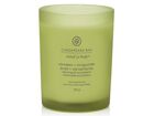 Chesapeake Bay Candle Střední vonná svíčka Awaken & Invigorate