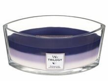 WoodWick Trilogy svíčka loď Evening Luxe