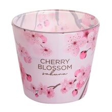 Cherry Blossom Sakura Pink Blush