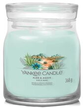 Yankee candle Signature dva knoty Aloe & Agave 368 g