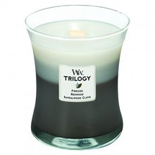WoodWick Trilogy sklo střední Warm Woods