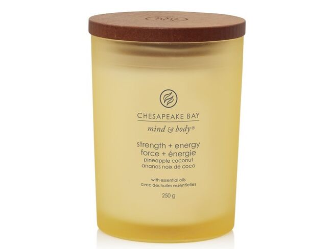 Chesapeake Bay Candle Střední vonná svíčka Strength & Energy